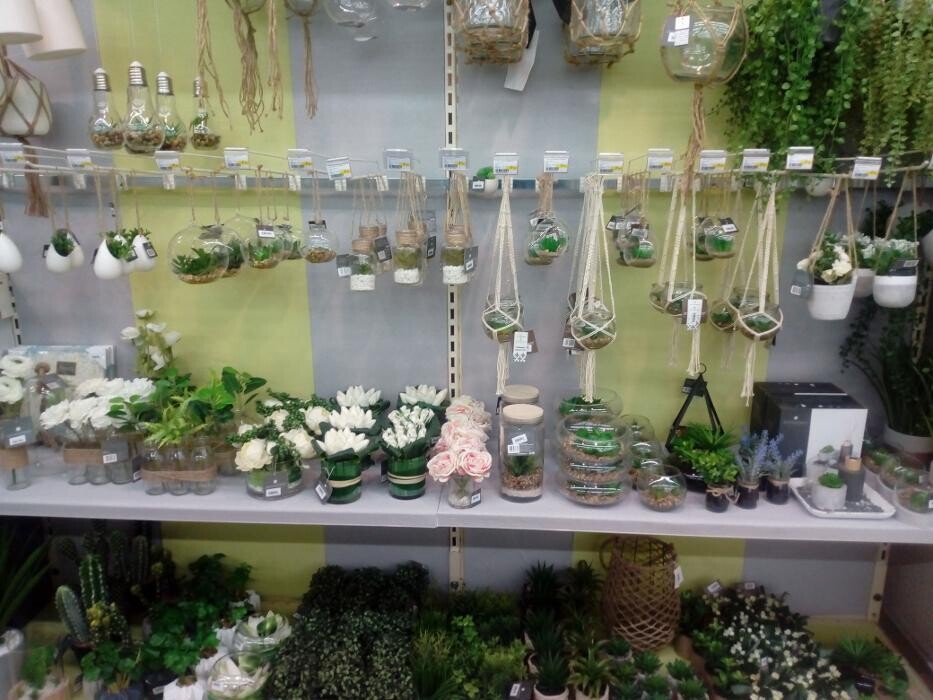 Images Bricomarché Commercy