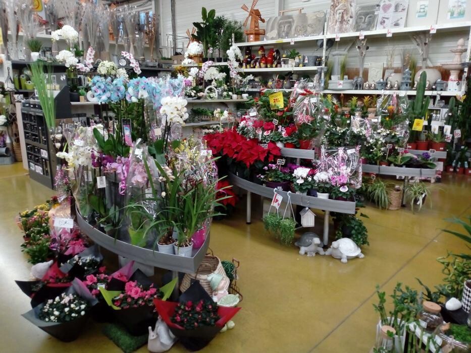 Images Bricomarché Commercy