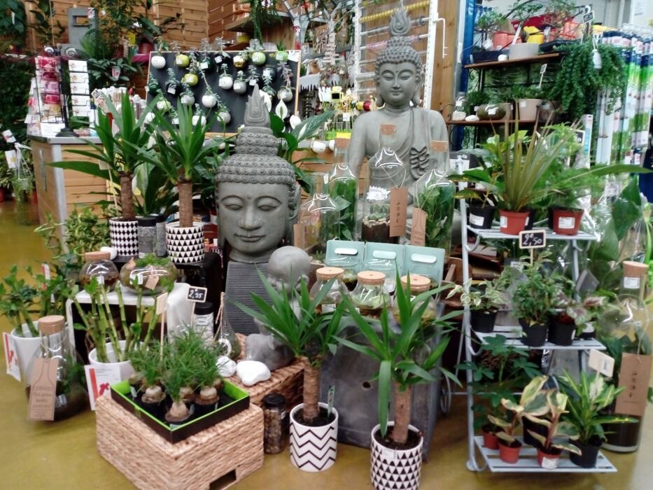 Images Bricomarché Commercy