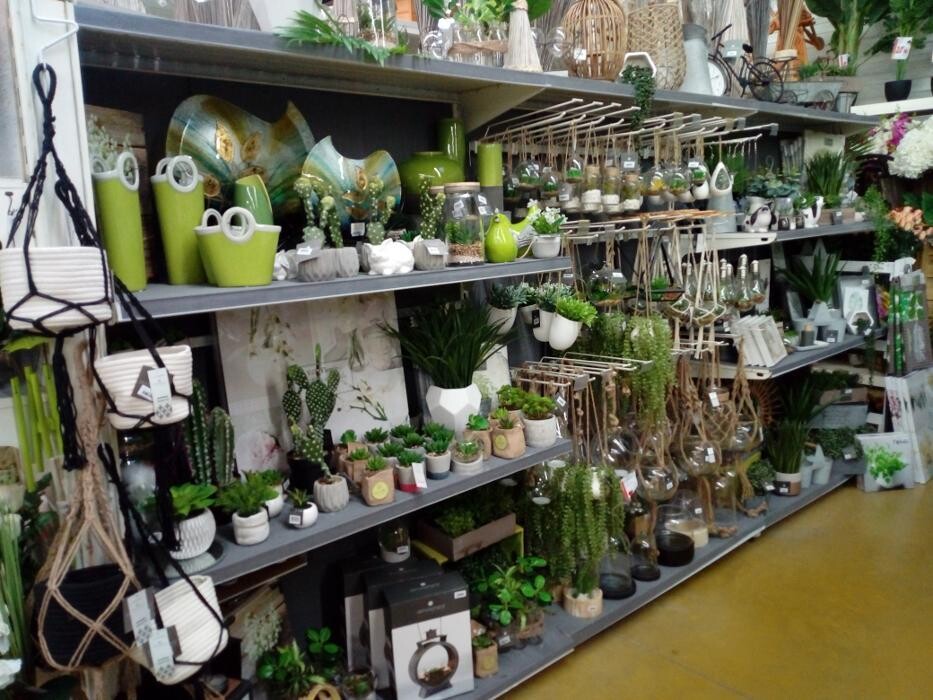 Images Bricomarché Commercy