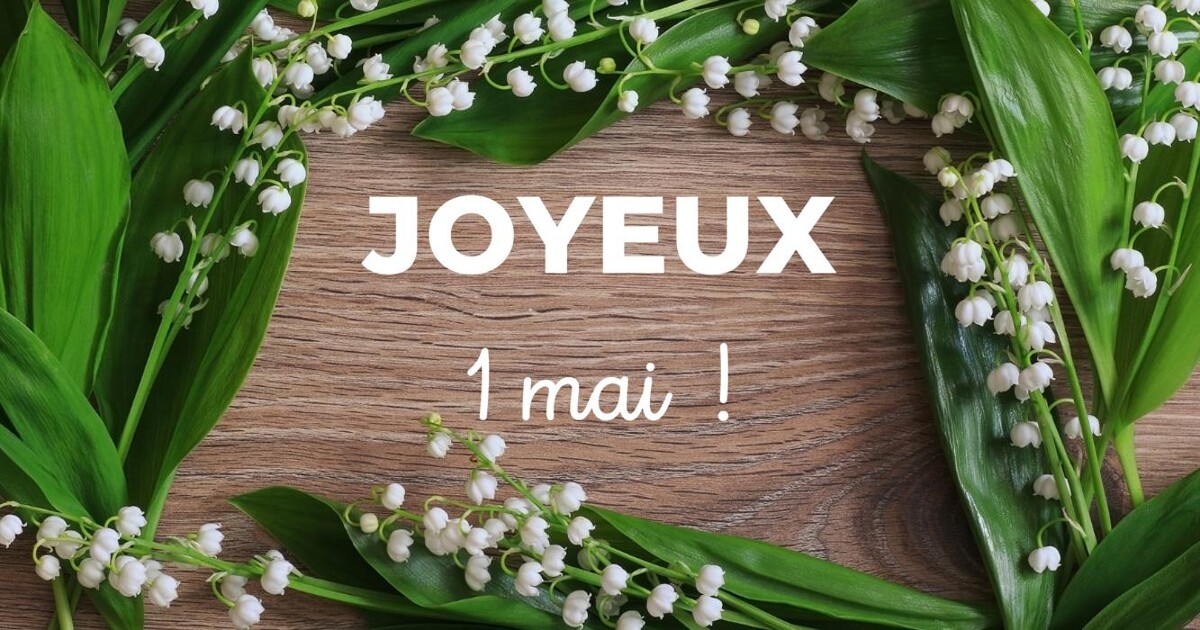 Images Bricomarché Abbeville