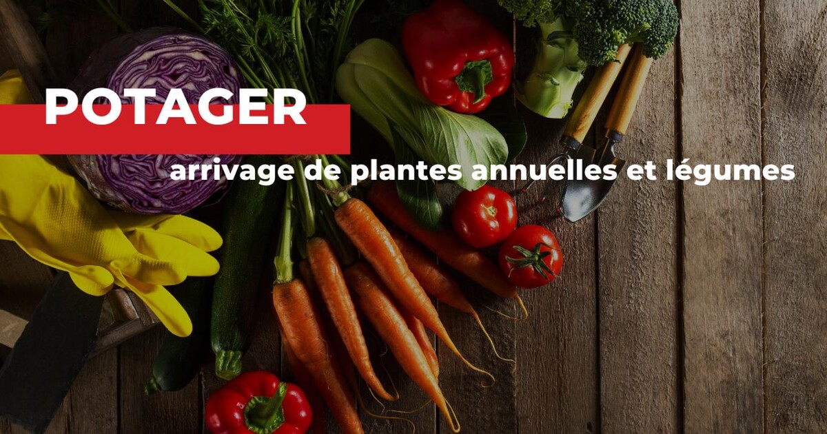 Images Bricomarché Abbeville