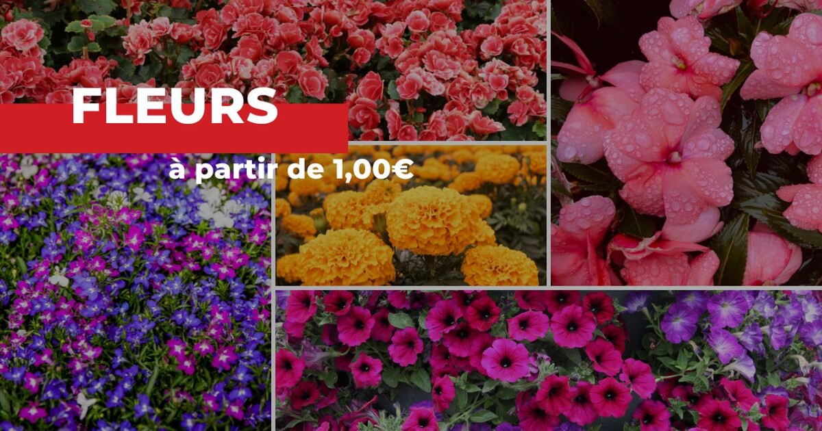 Images Bricomarché Abbeville