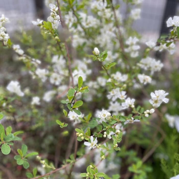 Images Bricomarché Abbeville