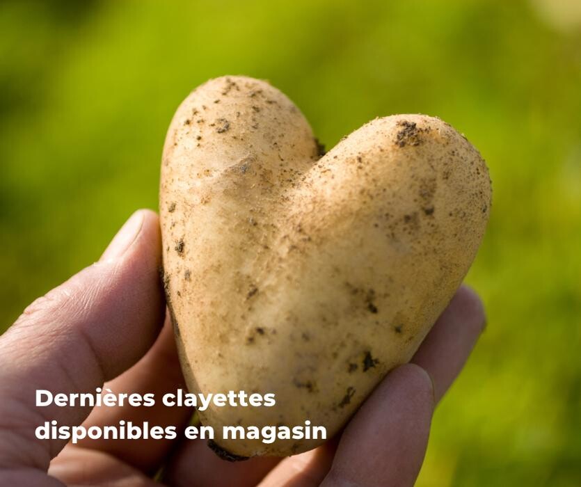 Images Bricomarché Abbeville