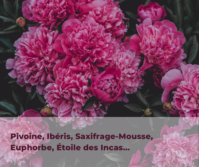 Images Bricomarché Abbeville