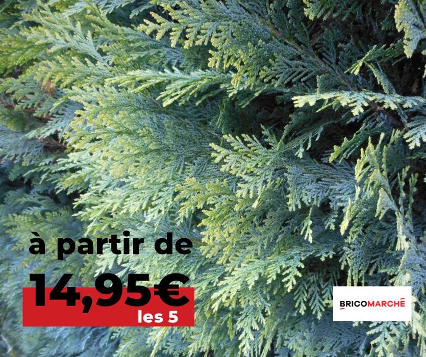 Images Bricomarché Abbeville