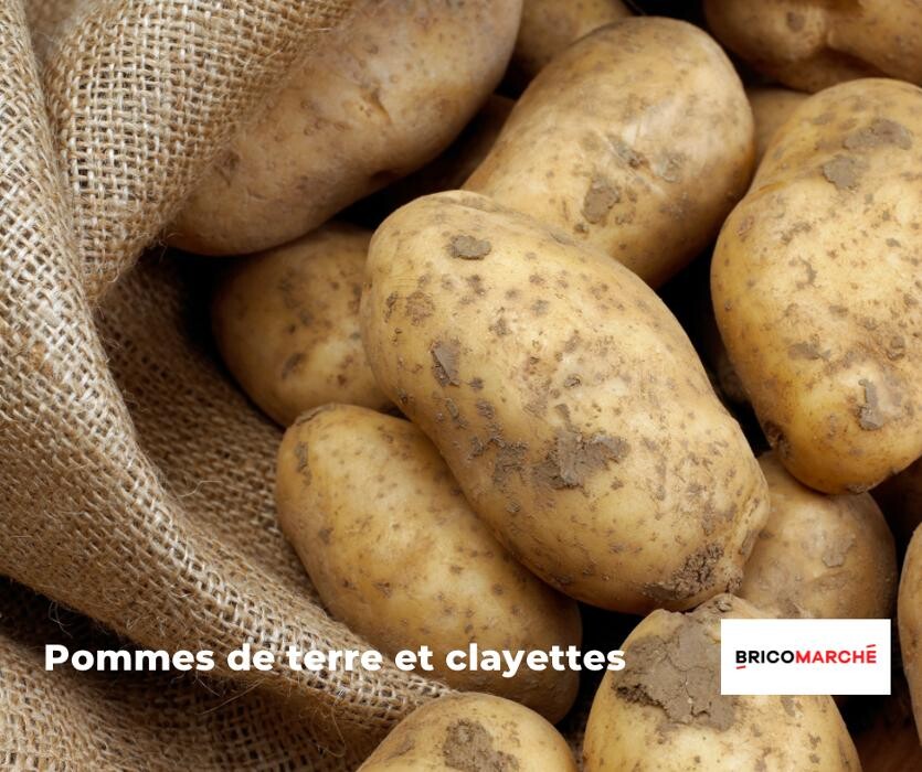 Images Bricomarché Abbeville