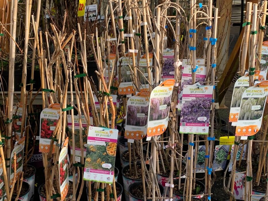 Images Bricomarché La Teste De Buch