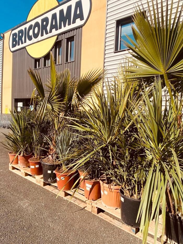 Images Bricorama Arès