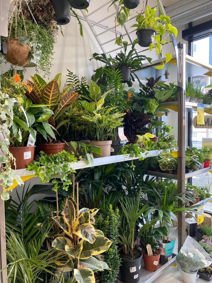 Images Bricorama Grenoble