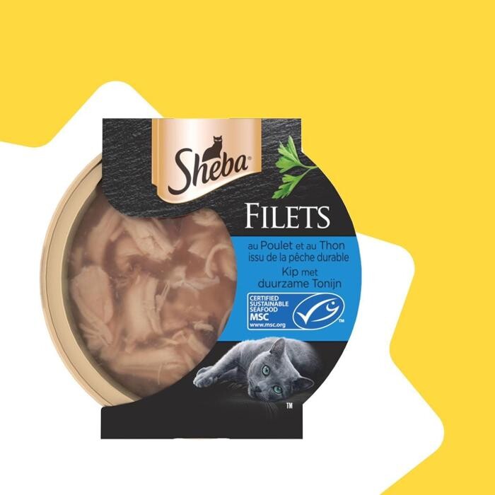 Images Bricomarché Saint-Jean-D'Angély