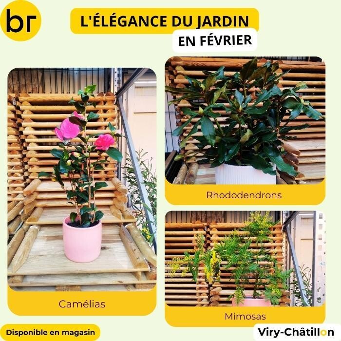 Images Bricorama Viry-Châtillon