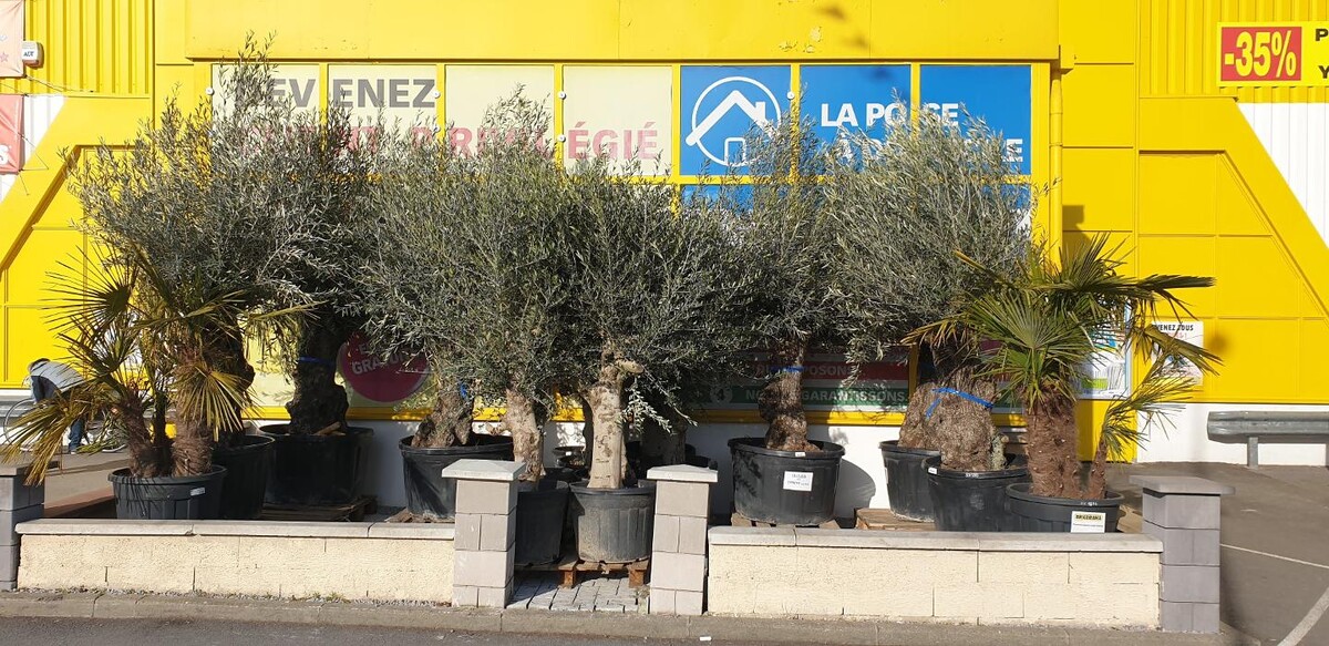 Images Bricorama Viry-Châtillon