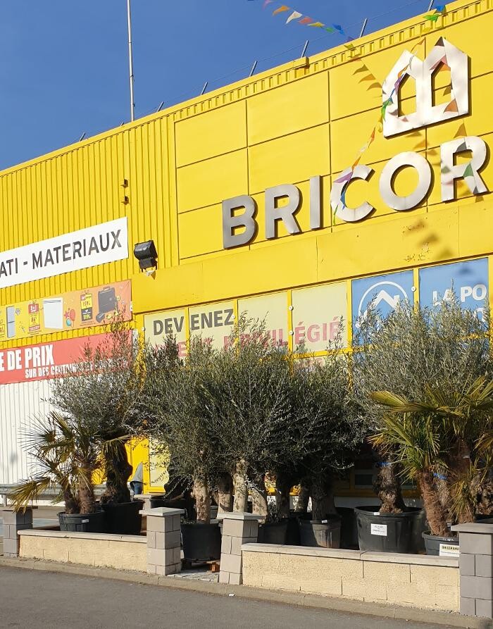 Images Bricorama Viry-Châtillon