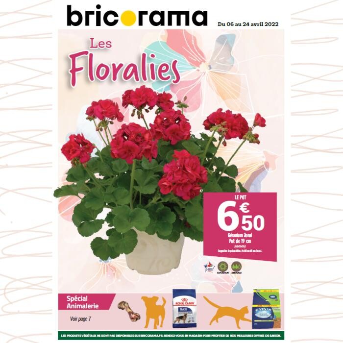 Images Bricorama Voiron