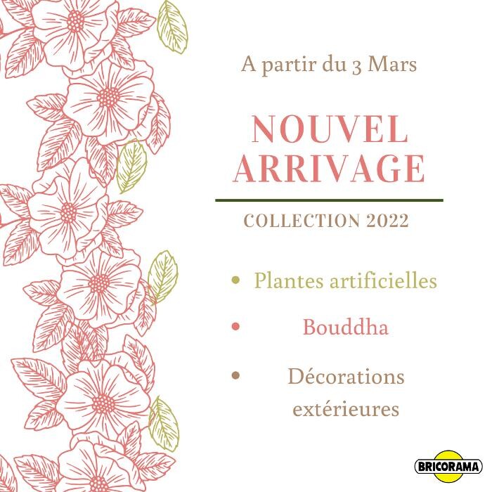 Images Bricorama Voiron
