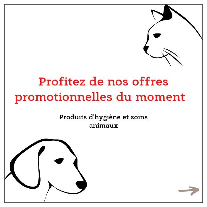 Images Bricorama Voiron