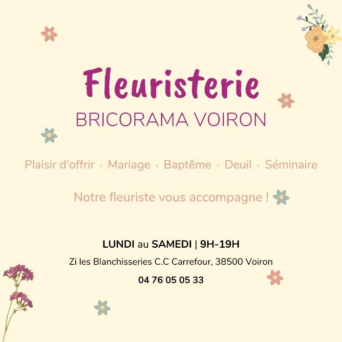 Images Bricorama Voiron