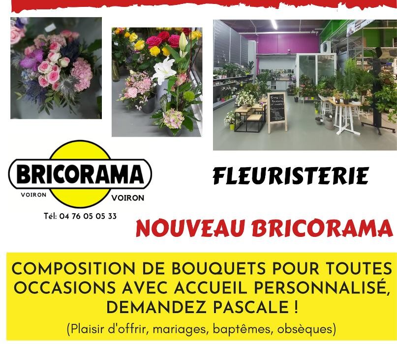 Images Bricorama Voiron