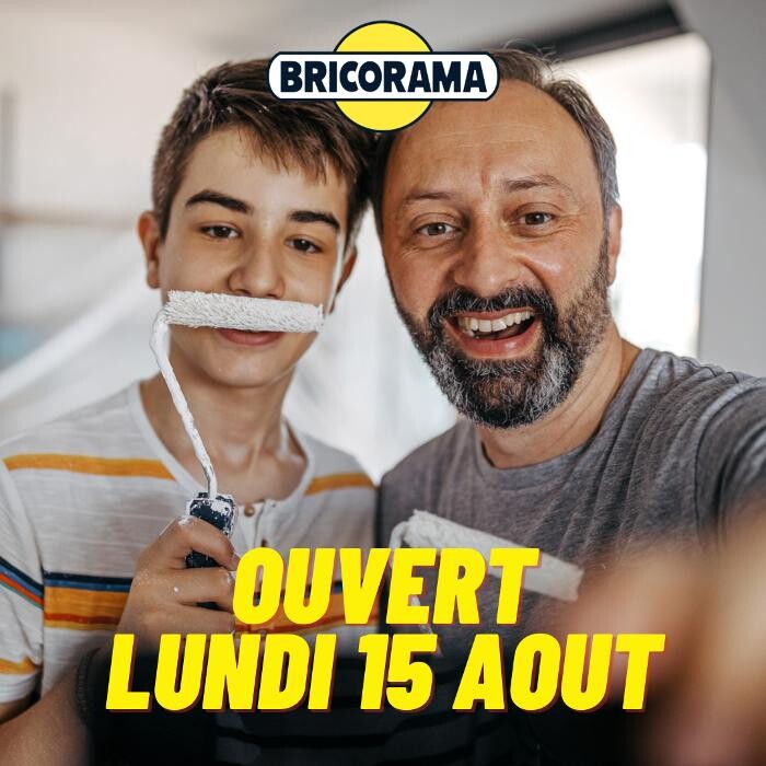 Images Bricorama Royan