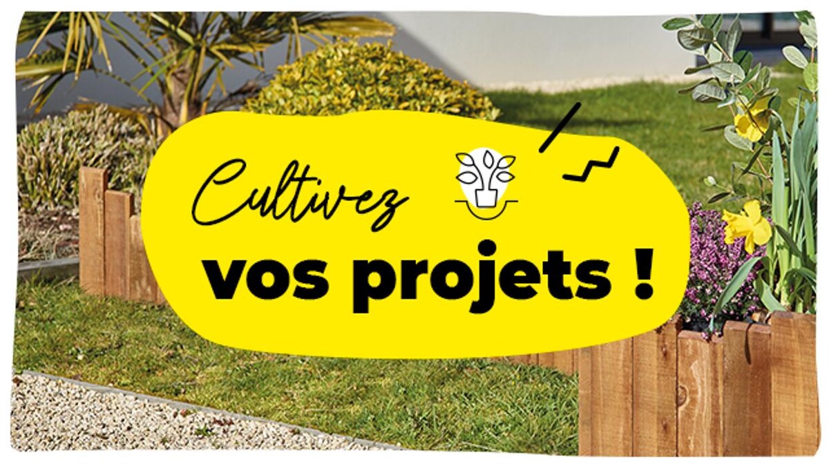 Images Bricorama Royan