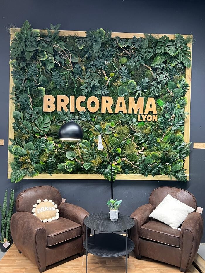 Images Bricorama Lyon 8