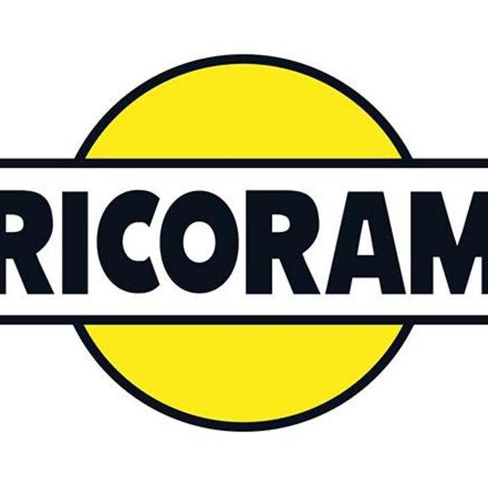 Bricorama Rambouillet Logo