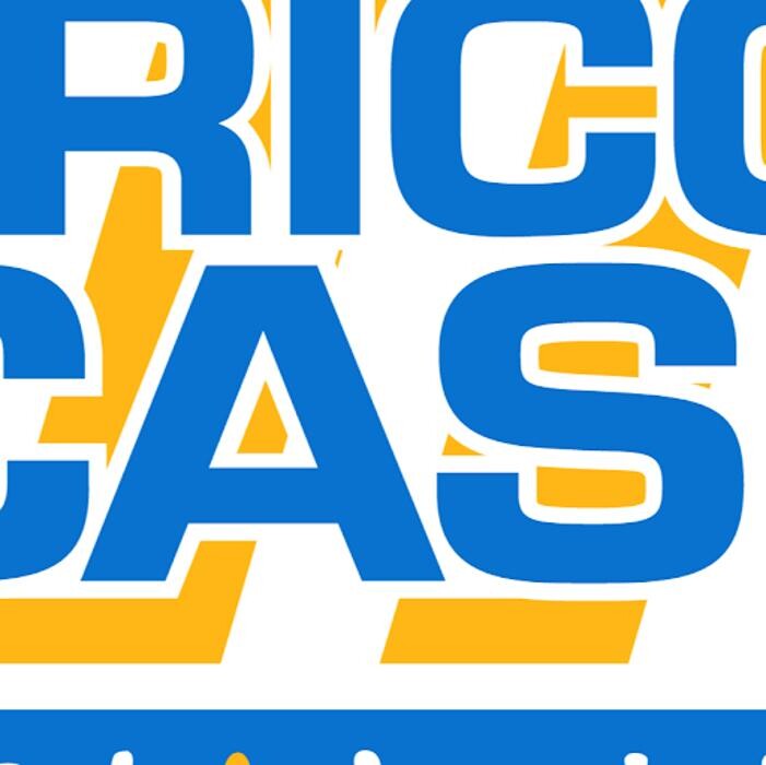 Brico Cash Saint Cyprien Logo