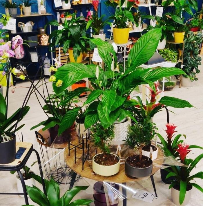 Images Bricomarché Saint-Agathon