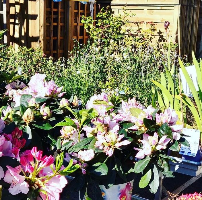 Images Bricomarché Saint-Agathon