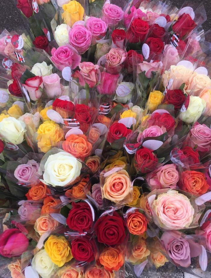 Images Bricorama Saint-Pierre-Lès-Elbeuf