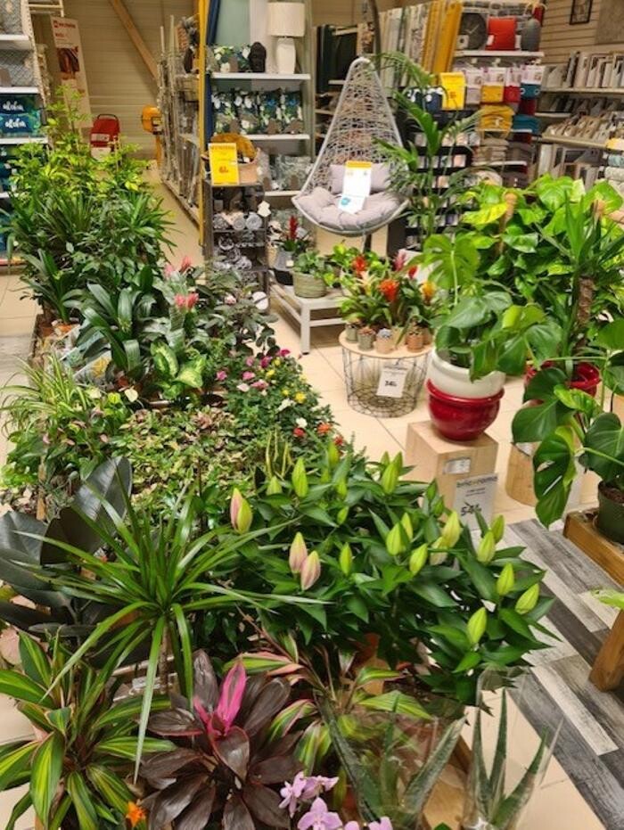 Images Bricorama Les Billaux