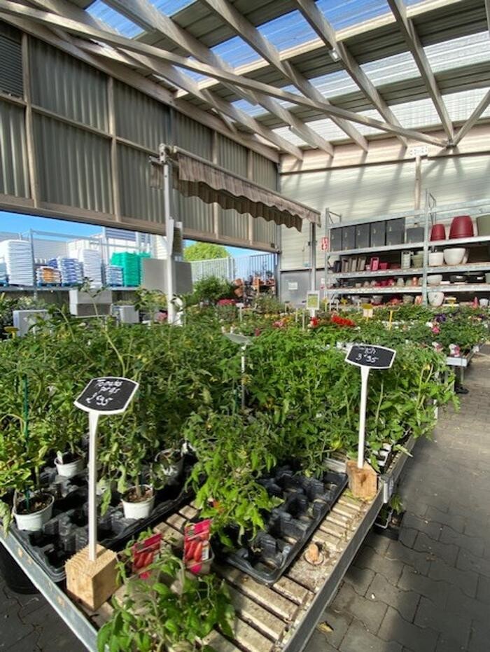 Images Bricorama Les Billaux