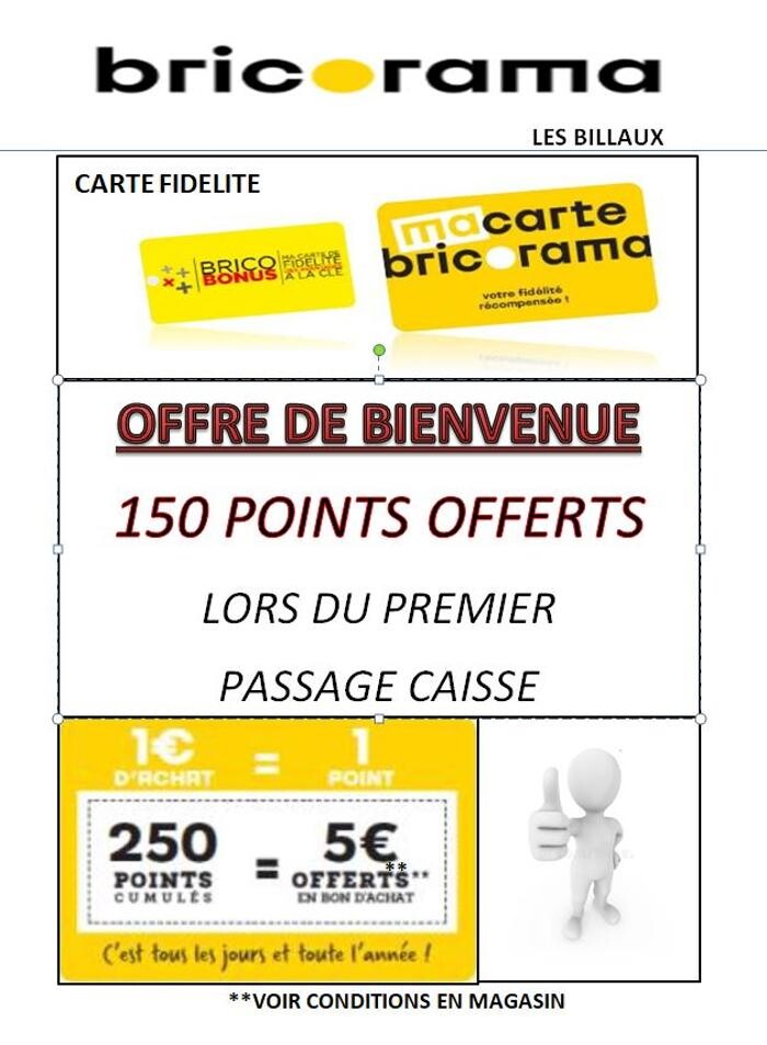 Images Bricorama Les Billaux