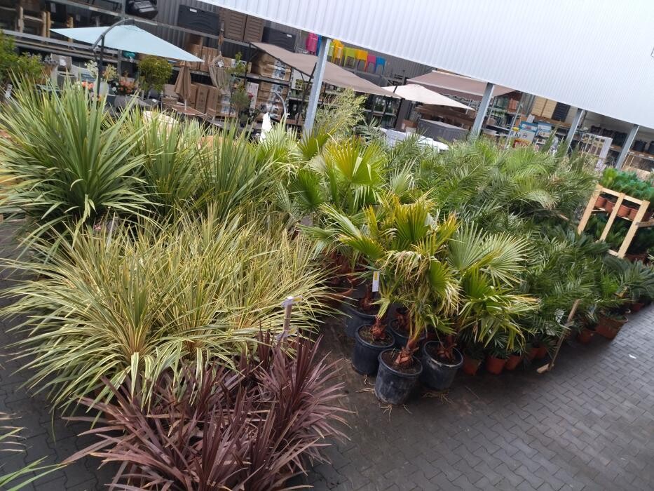 Images Bricorama Les Billaux