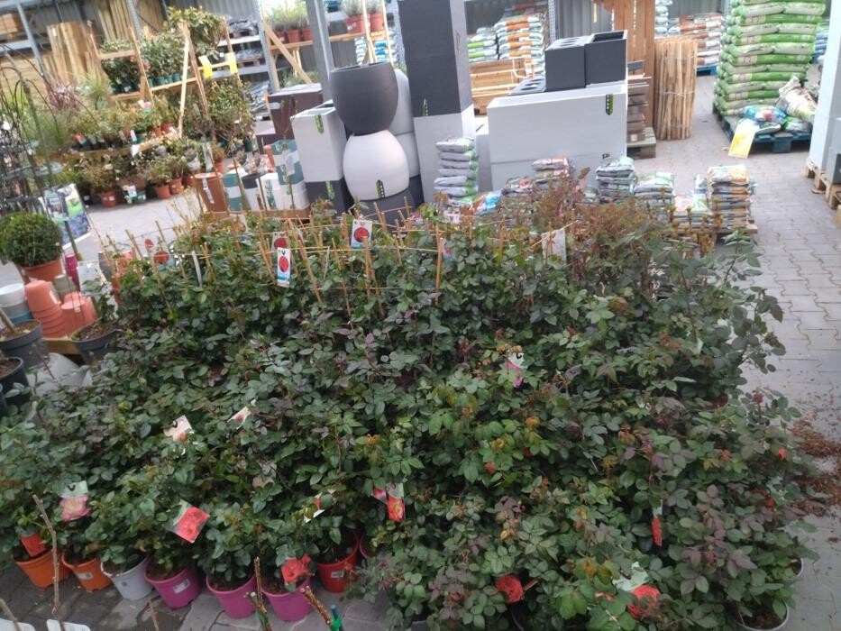 Images Bricorama Les Billaux