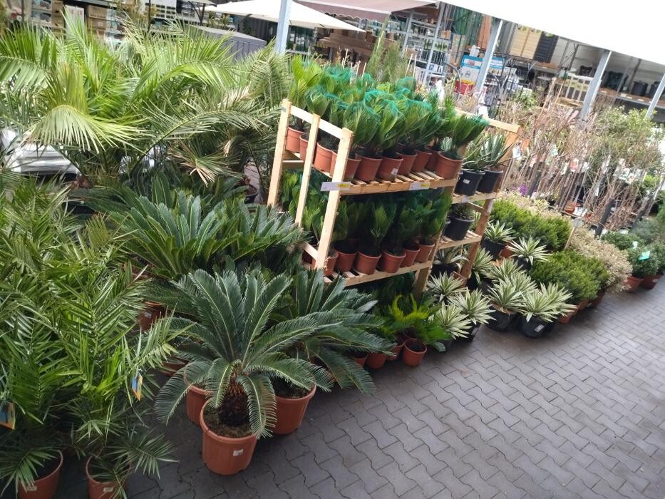 Images Bricorama Les Billaux