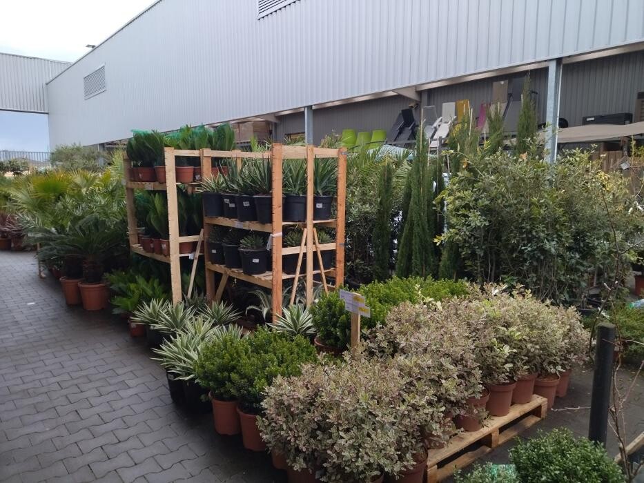 Images Bricorama Les Billaux