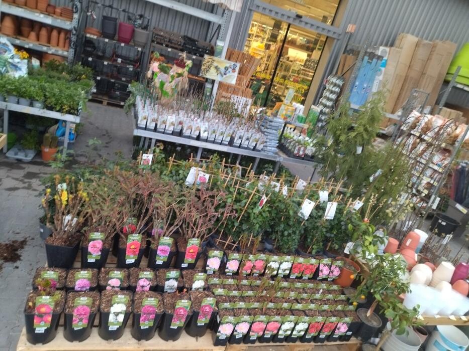 Images Bricorama Les Billaux