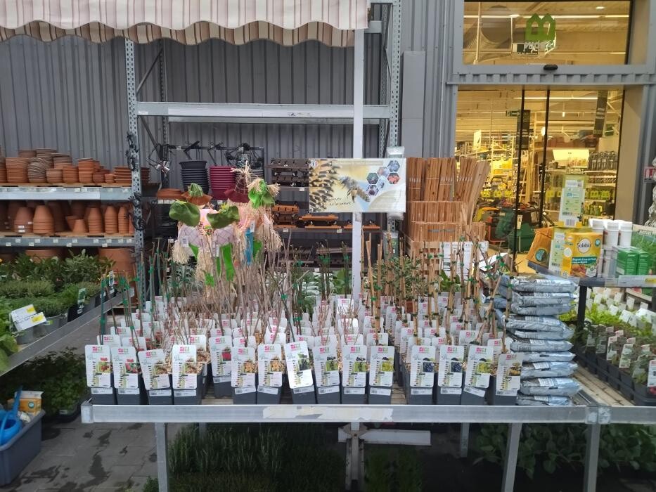 Images Bricorama Les Billaux