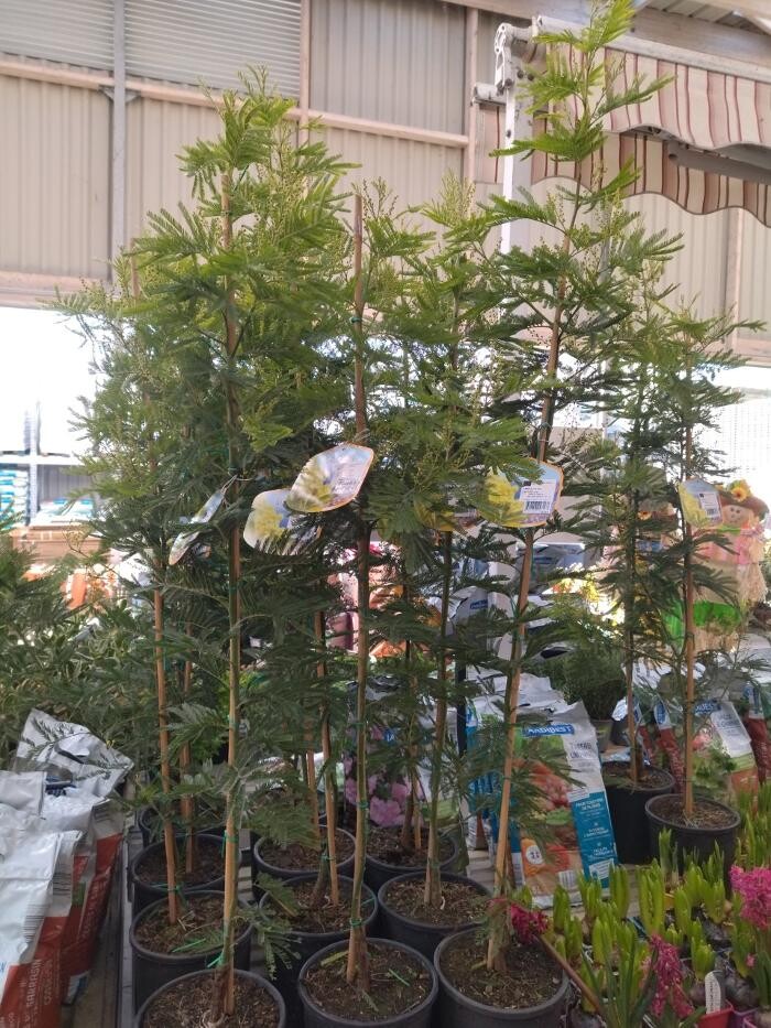 Images Bricorama Les Billaux