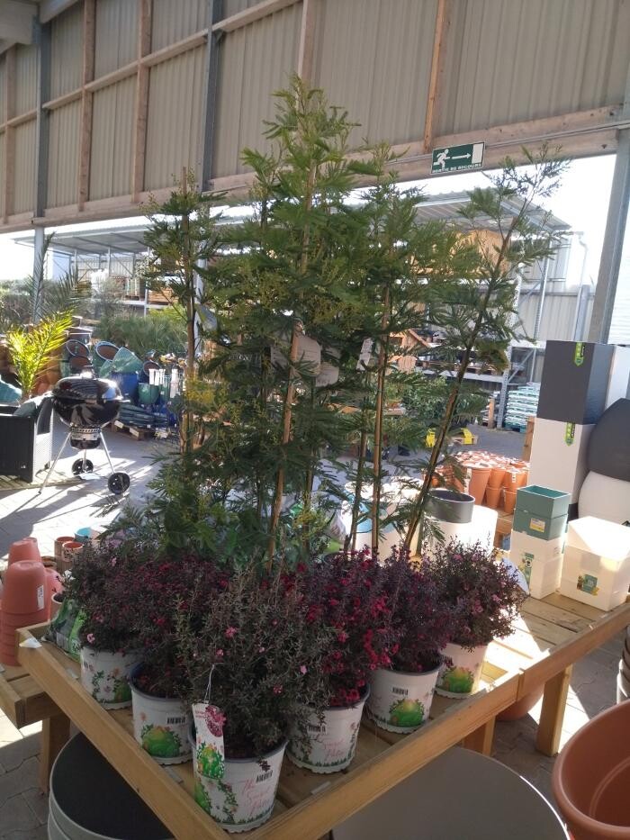 Images Bricorama Les Billaux