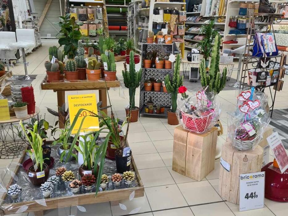 Images Bricorama Les Billaux