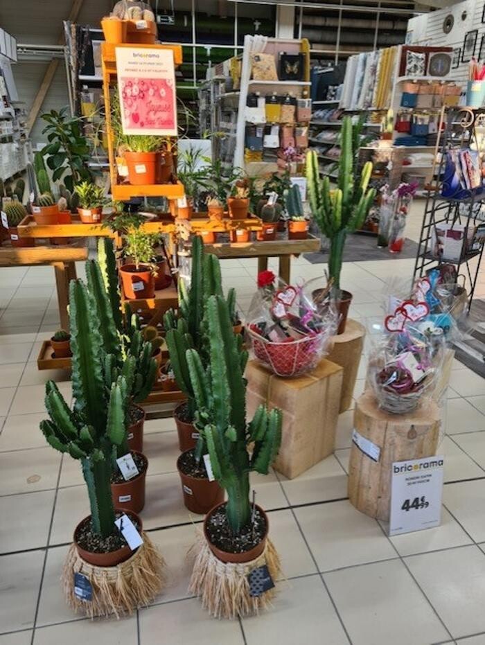 Images Bricorama Les Billaux