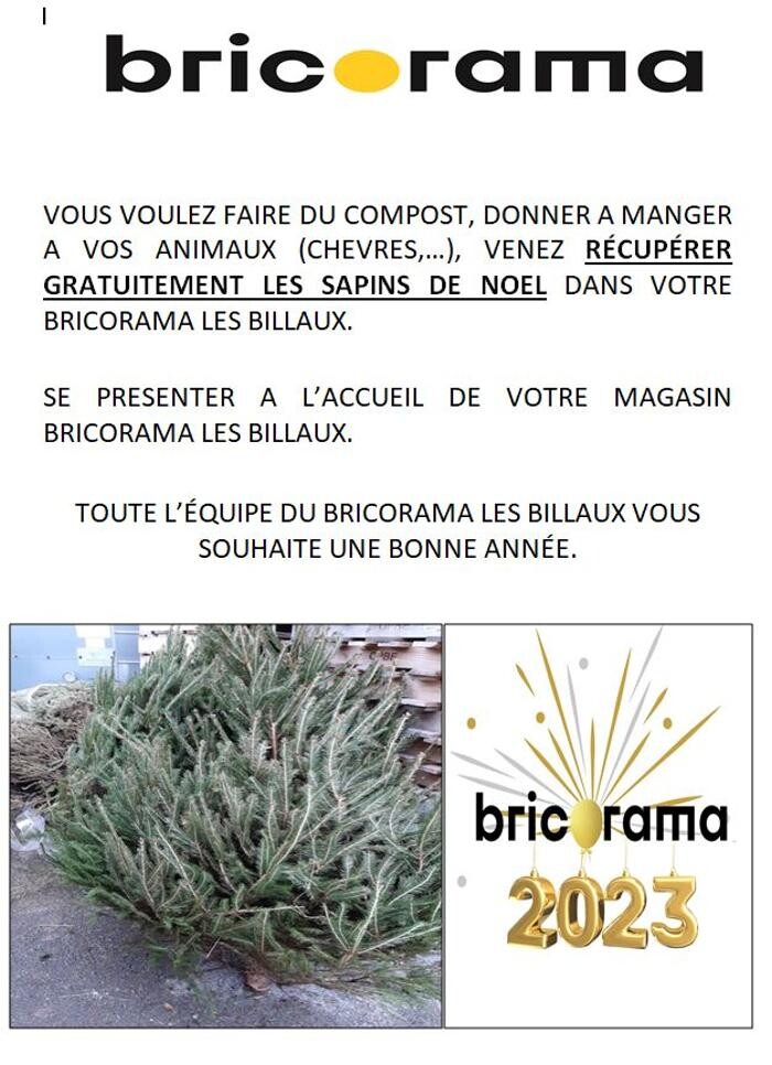 Images Bricorama Les Billaux