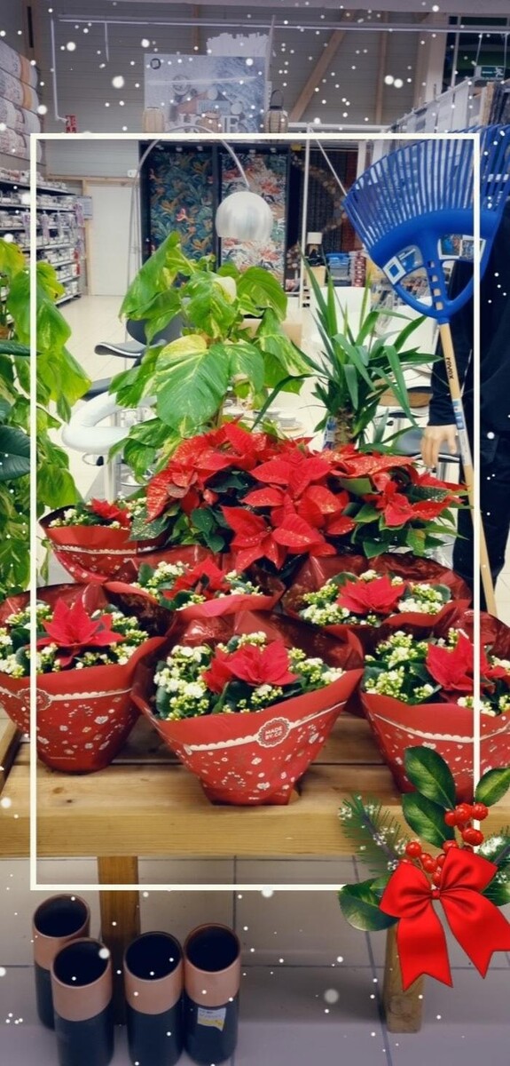 Images Bricorama Les Billaux