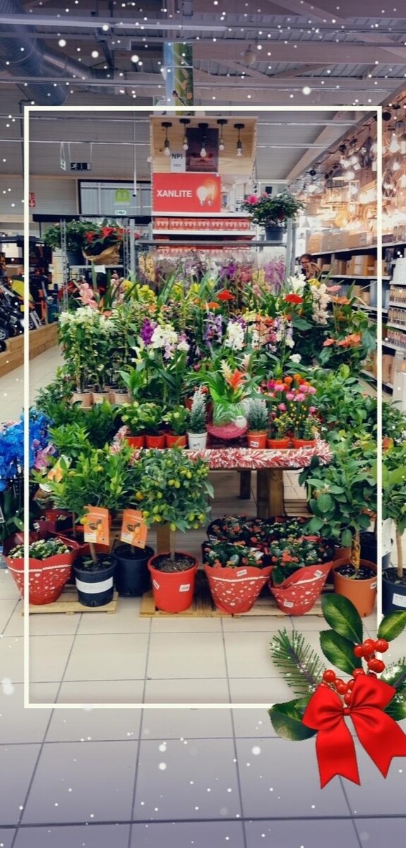 Images Bricorama Les Billaux