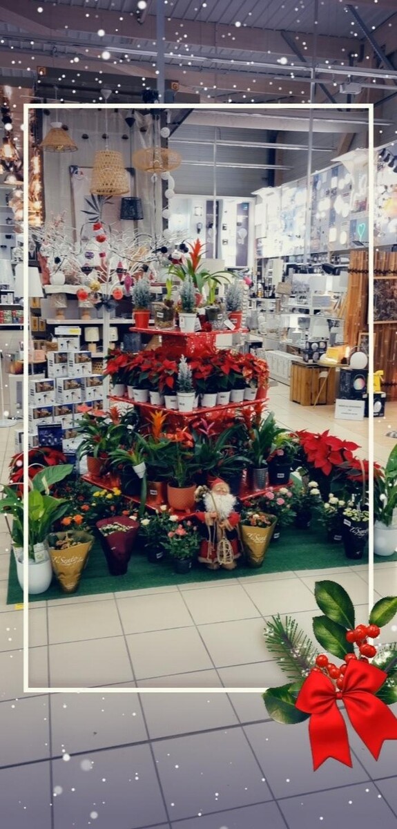 Images Bricorama Les Billaux