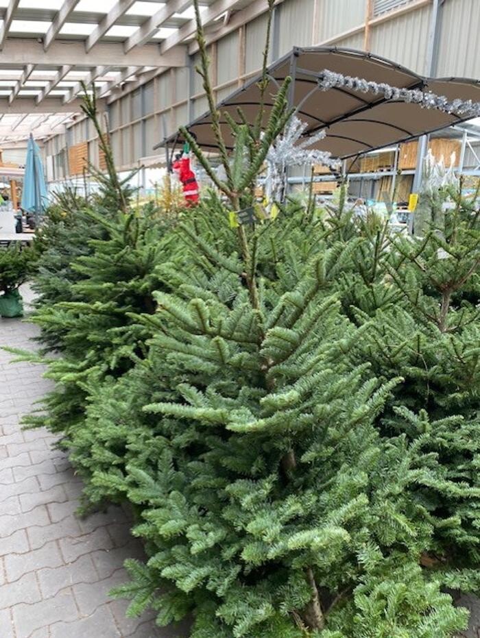 Images Bricorama Les Billaux